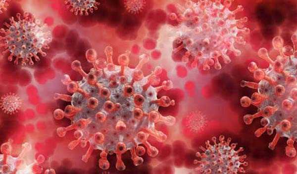 मराठवाड़ा में कोरोना से 41 लोगों की मौत मराठवाड़ा में कोरोना से 41 लोगों की मौत